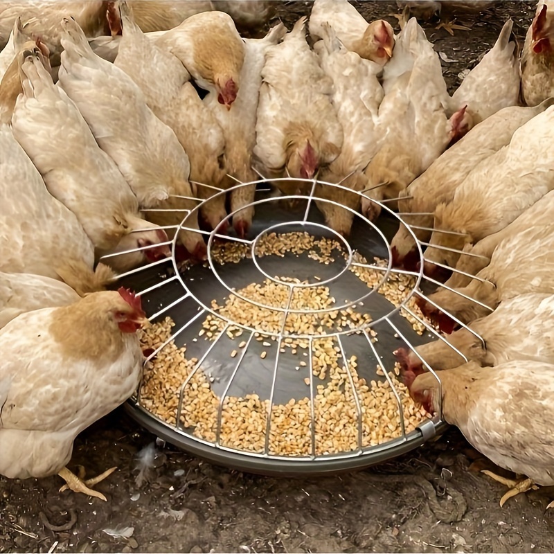 

Steel Feeder - , -use For Foods, For Poultry &