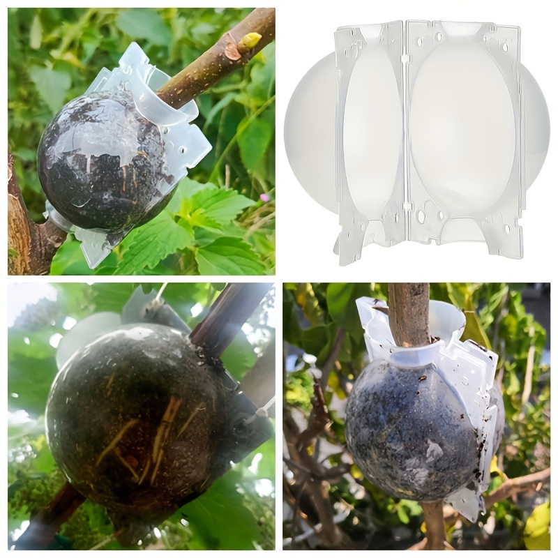 10 Pcs High Pressure Root Propagation Ball Air-Layering Tree Root Growing Propagation Box W113312141