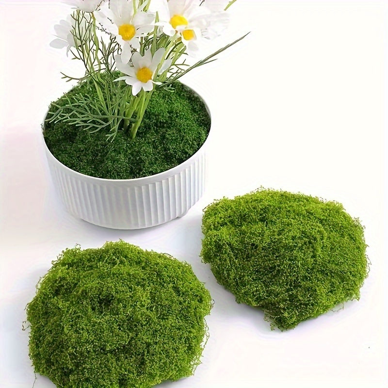 Reindeer Craft Moss Artificial Plant Preserved Green Diy Kit - Temu