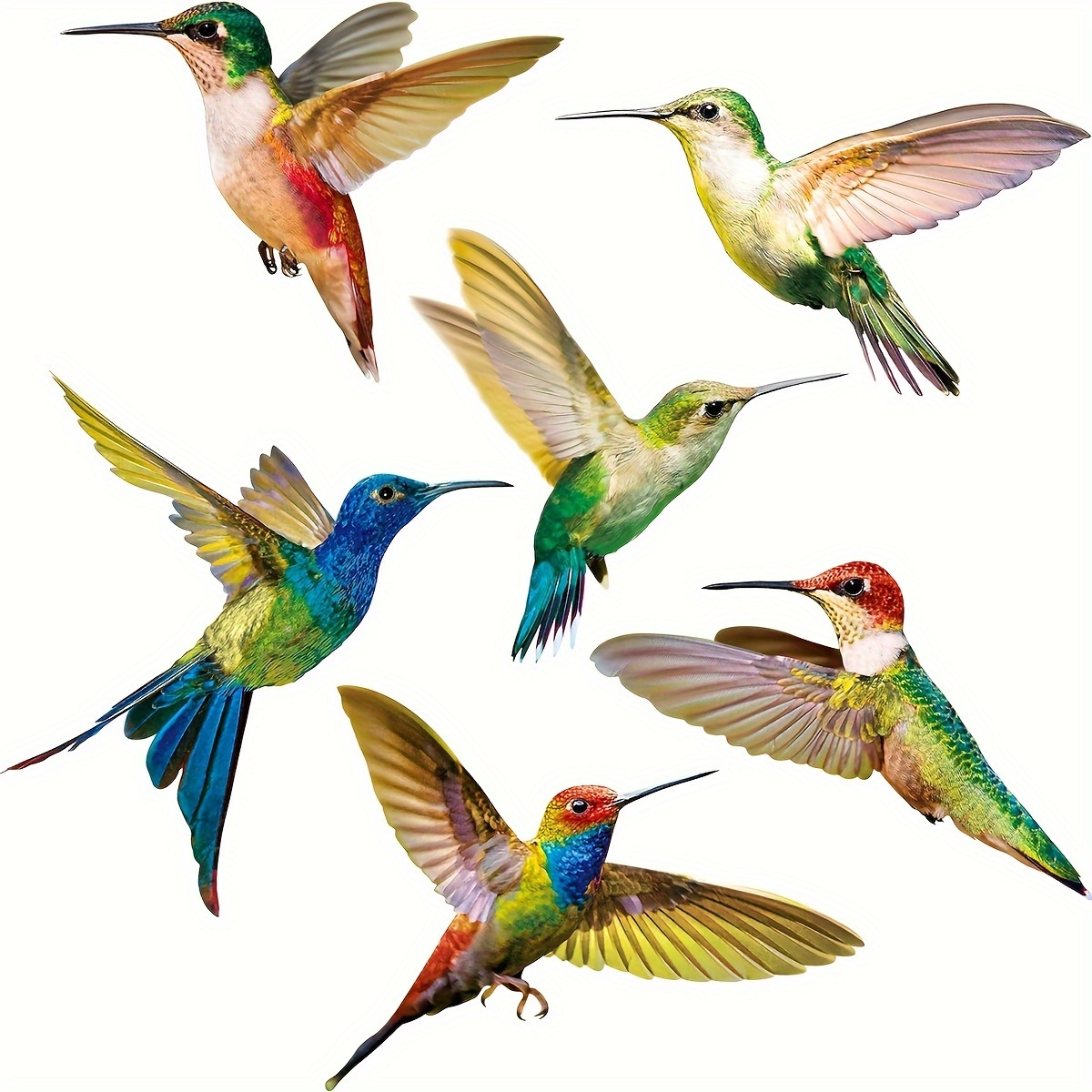 

6pcs/set Artistic Pvc Window Decal, Realistic Hummingbird Mural, Self-adhesive Wall Art Sticker For Bedroom, Entryway, Living Room, Office, Porch, Background Wall Decor, Home Decoration