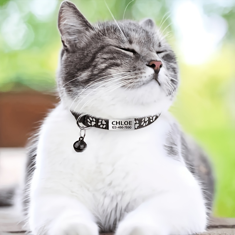 Custom Laser Engraved Pet Name Collar with Reflective Paw Print