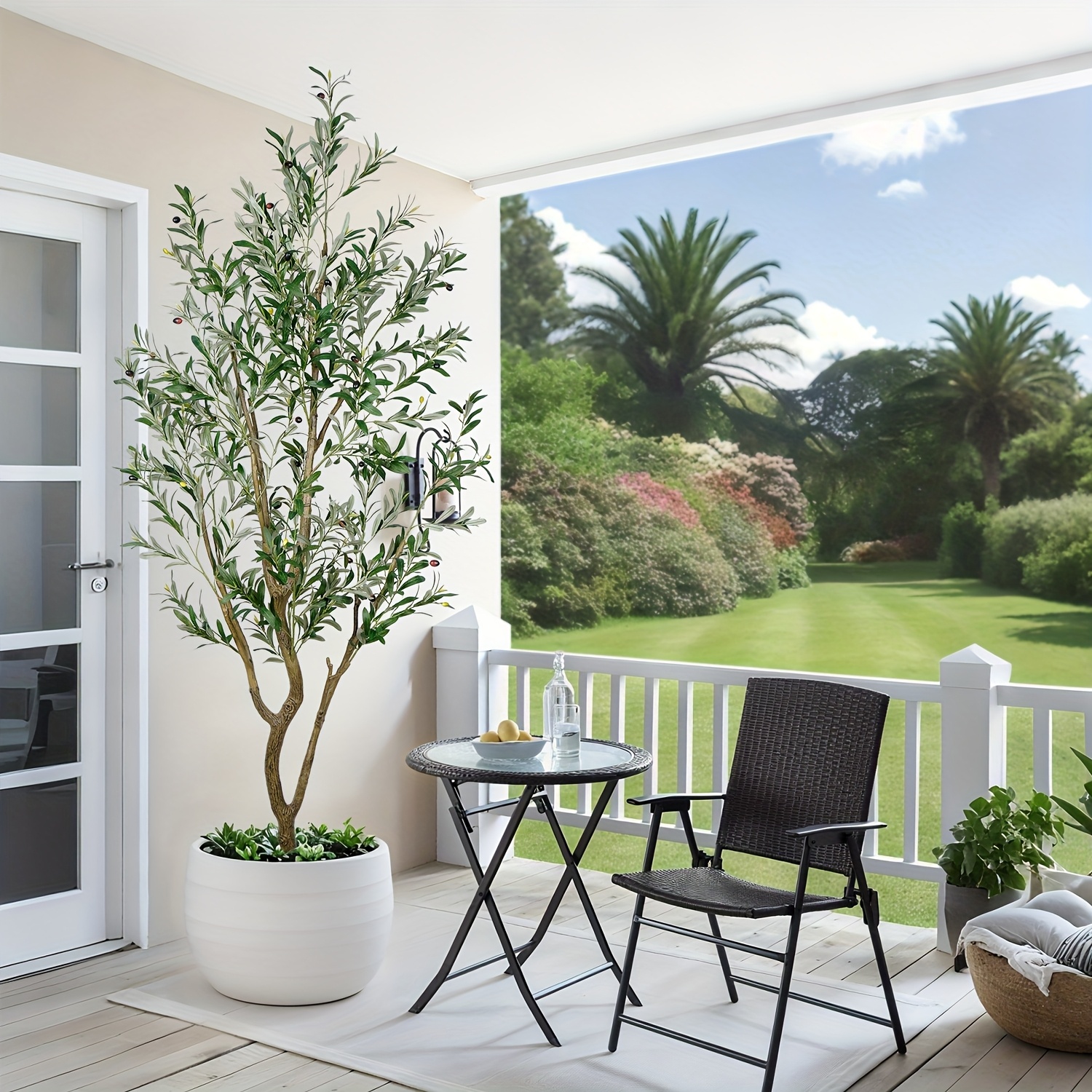 olive tree sold on Temu United States