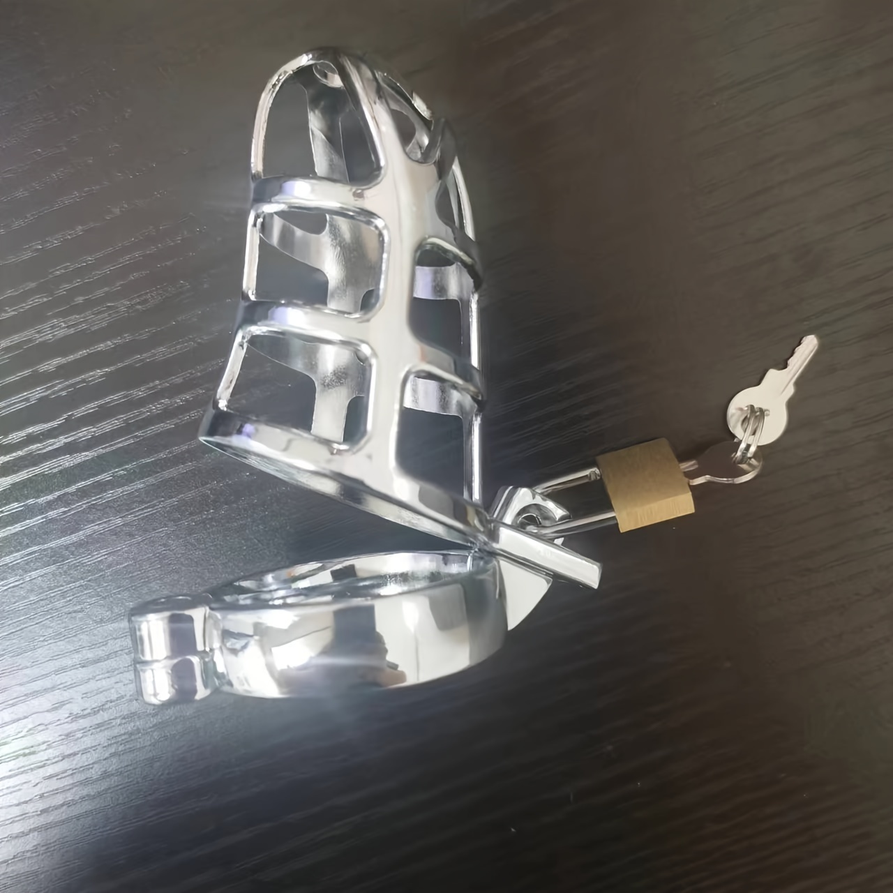 Stainless Steel female Chastity Belt Cage Metal Lock Device