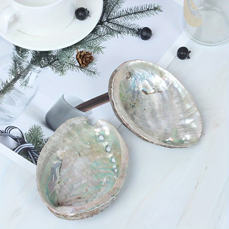 

5pcs Natural Abalone Shell, Decorative Ornament For Aquariums, Smudging Bowl For Sage, Unique Iridescent Finish