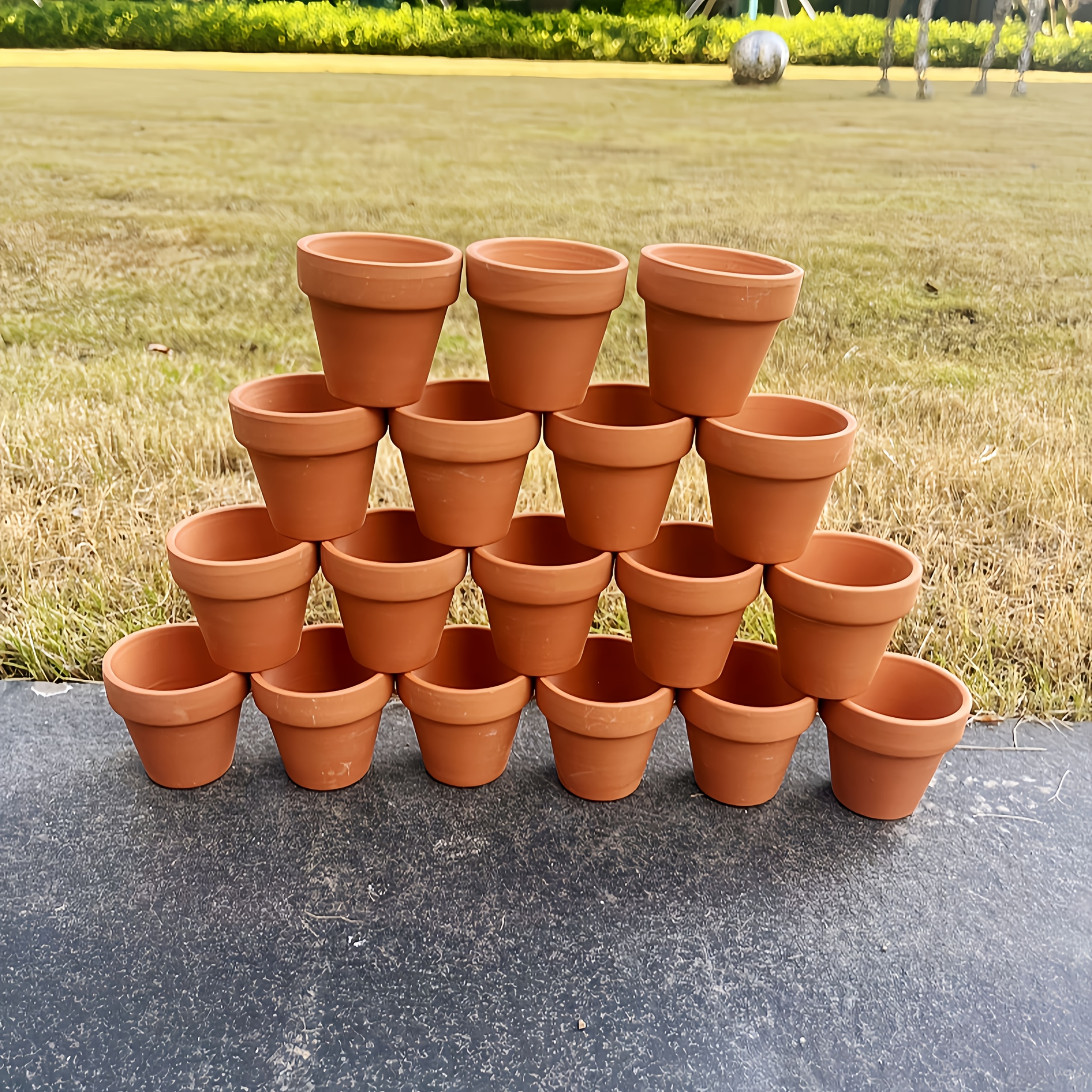 chunky potting mix Sol Soils 1 Qt. Houseplant Chunky Mix main image 1