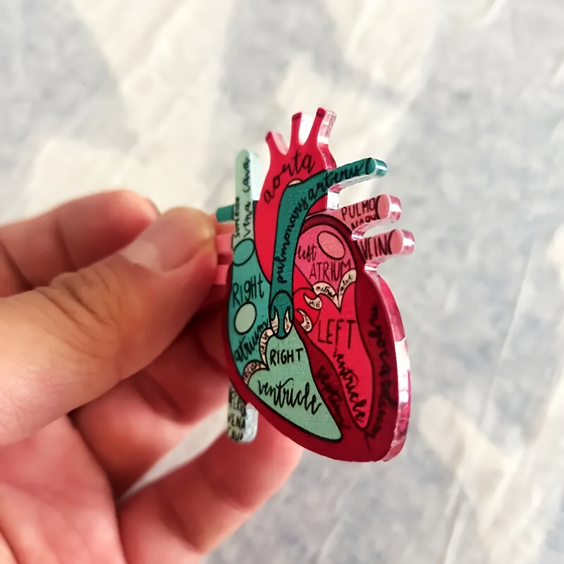 Anatomical Heart Walnut Badge Reel, Magnet, Token