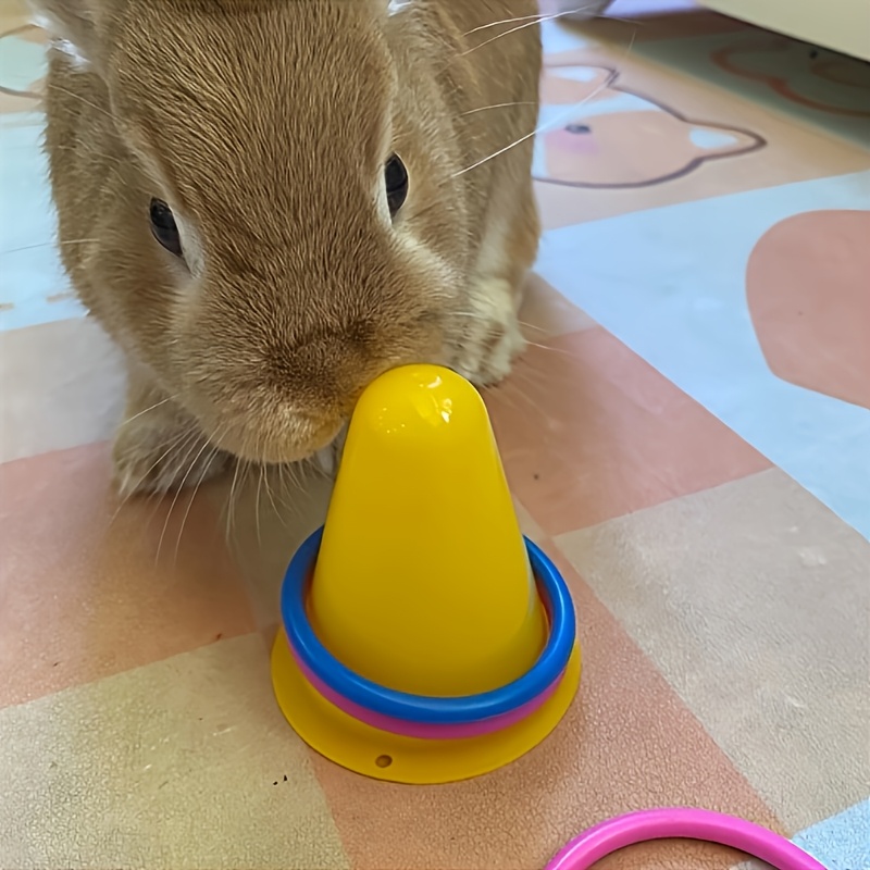 Ca5ee24e 8092 40d4 Ad58 1c9e0b7c8fa5