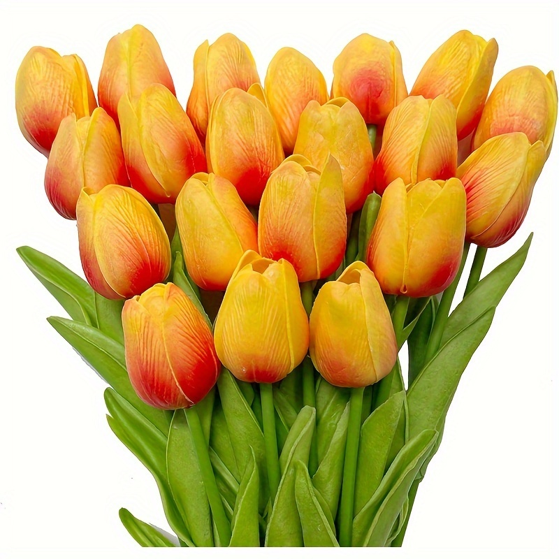 842834_3