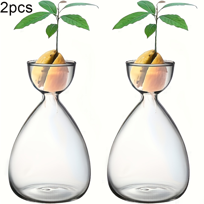 TEMU 2pcs Small Vase, Tree Growing Kit, Glass Plant Pot Vase Gifts For , Halloween And Christmas Decorations