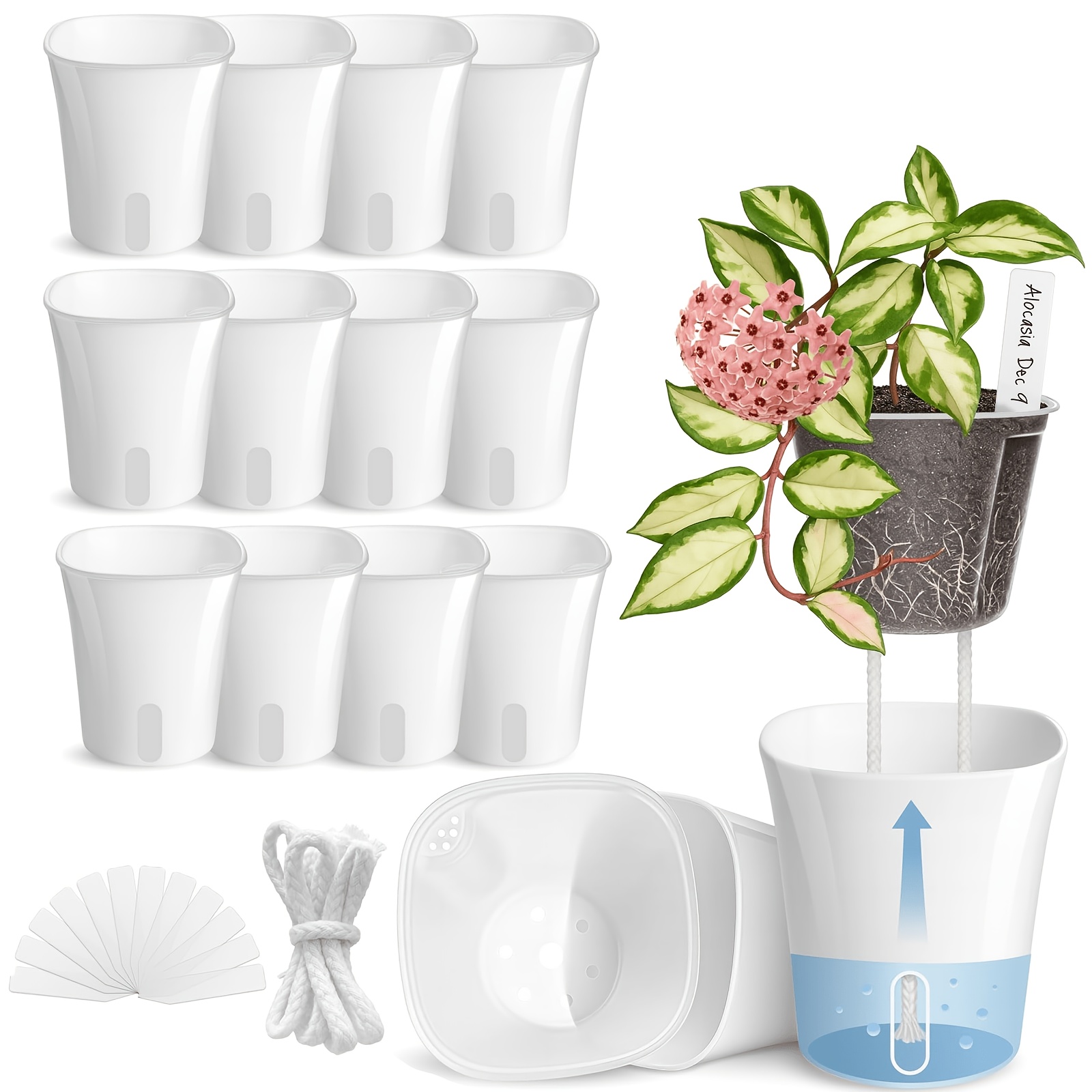 TEMU 12-pack Set Of 4-inch Self-absorbing Water , Suitable For Indoor Plants, Including 12 Small Plastic Flowerpots, 12 Inner Cups, 12 Labels, And 12
