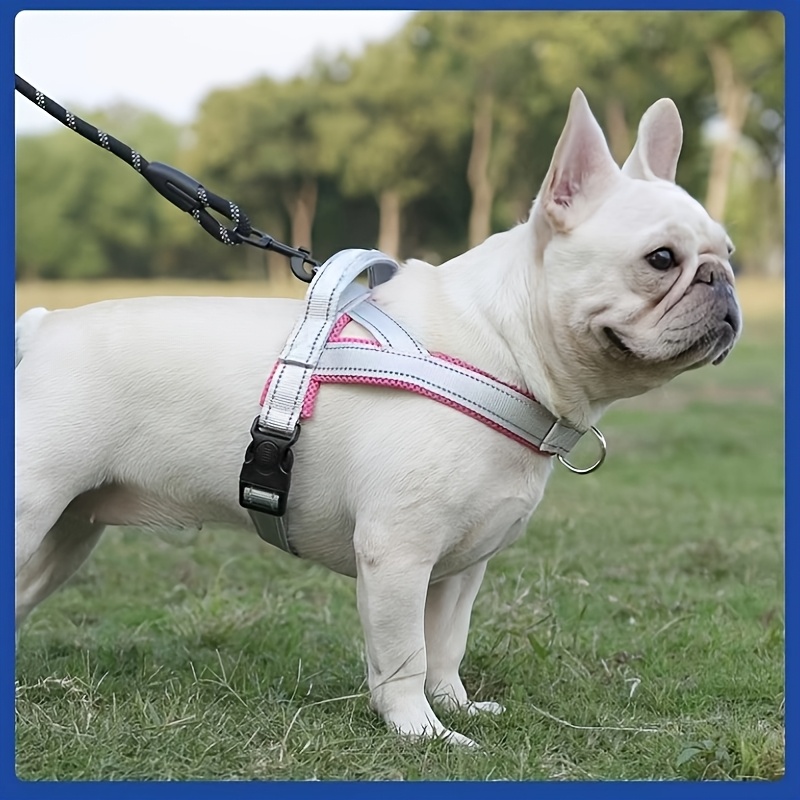 Adjustable Anti-Pull Dog Leash with Saddle-Style Chest Harness