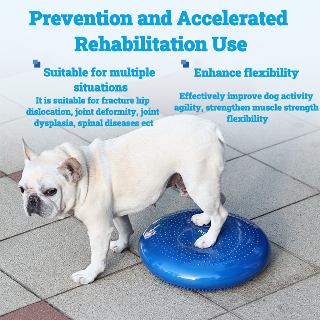 Stretching Exercises For Dog Hip Dysplasia Physical Therapy