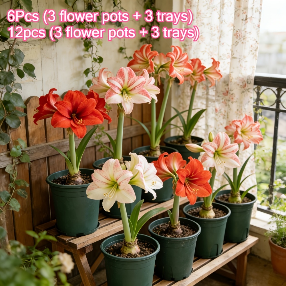 6   macetas gruesas para plantar flores y verduras, con bandeja, macetas para  , macetas para flores y verduras para el hogar, orificios de drenaje, adecuadas para plantar verduras, frutas,  , plantas verdes, suculentas,  ., uso interior y exterior