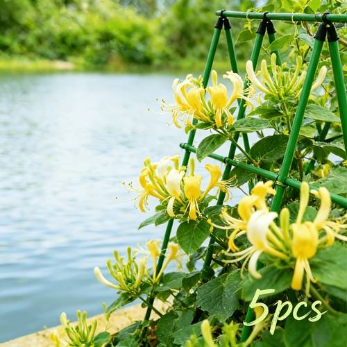 a set of 5 sturdy metal support frames suitable for garden plants with durable 8 mm thick rust proof core material suitable for supporting tomatoes grapes and vines easy to assemble