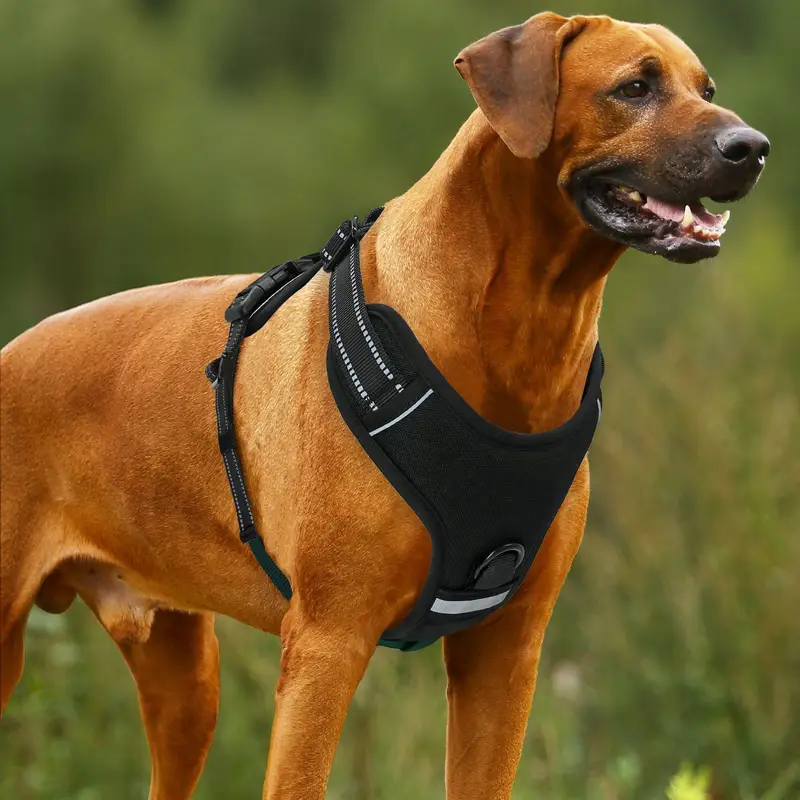 Pettorina Cane Tattica Taglia Piccola, COMSLE No-Pull Pettorina - Foto 8