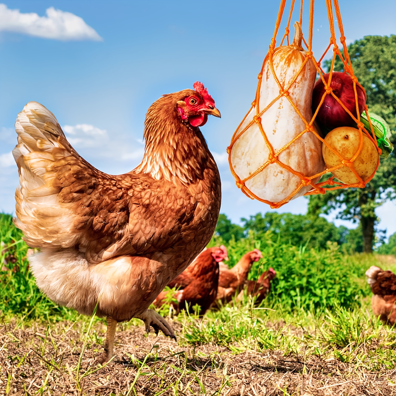 Chicken Vegetable Hanging Feeder Net Hooks Poultry Fruit - Temu