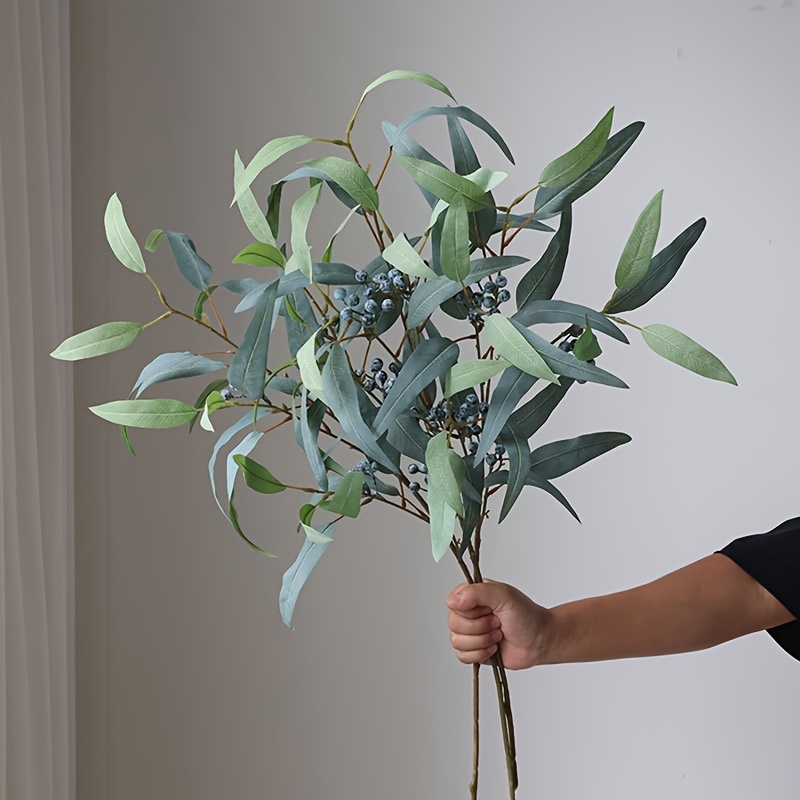 monstera monkey leaf hängend Kaufen Sie jetzt Zimmerpflanze Fensterblatt Monstera 'Monkey Leaf' grün  inkl. Hängetopf - Hängepflanze