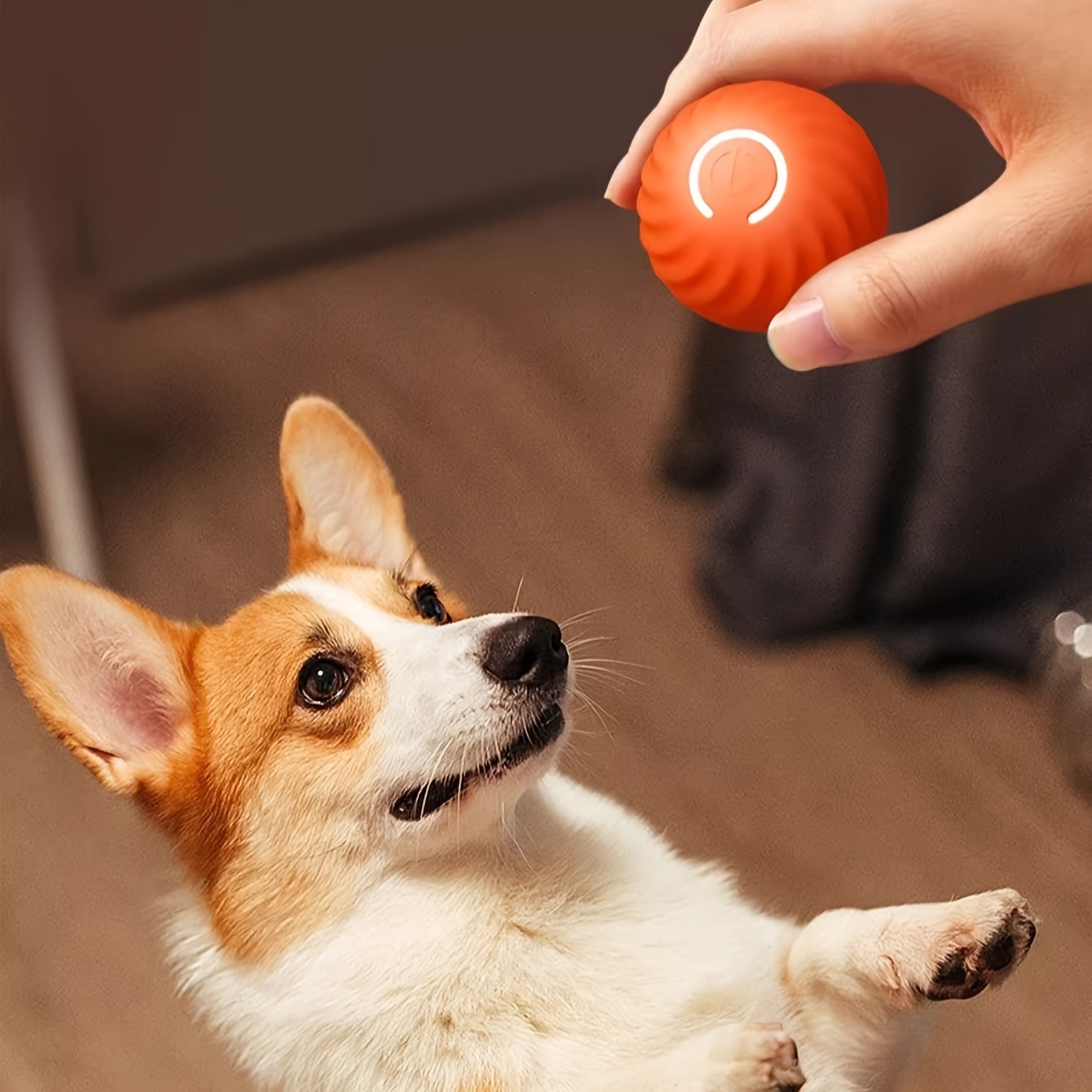 

A Durable Dog Chew Toy That Automatically Rolls, A Pet Teeth Grinding Toy, A Gravity Jumping Ball Toy, And A Dog Interactive Accessory.