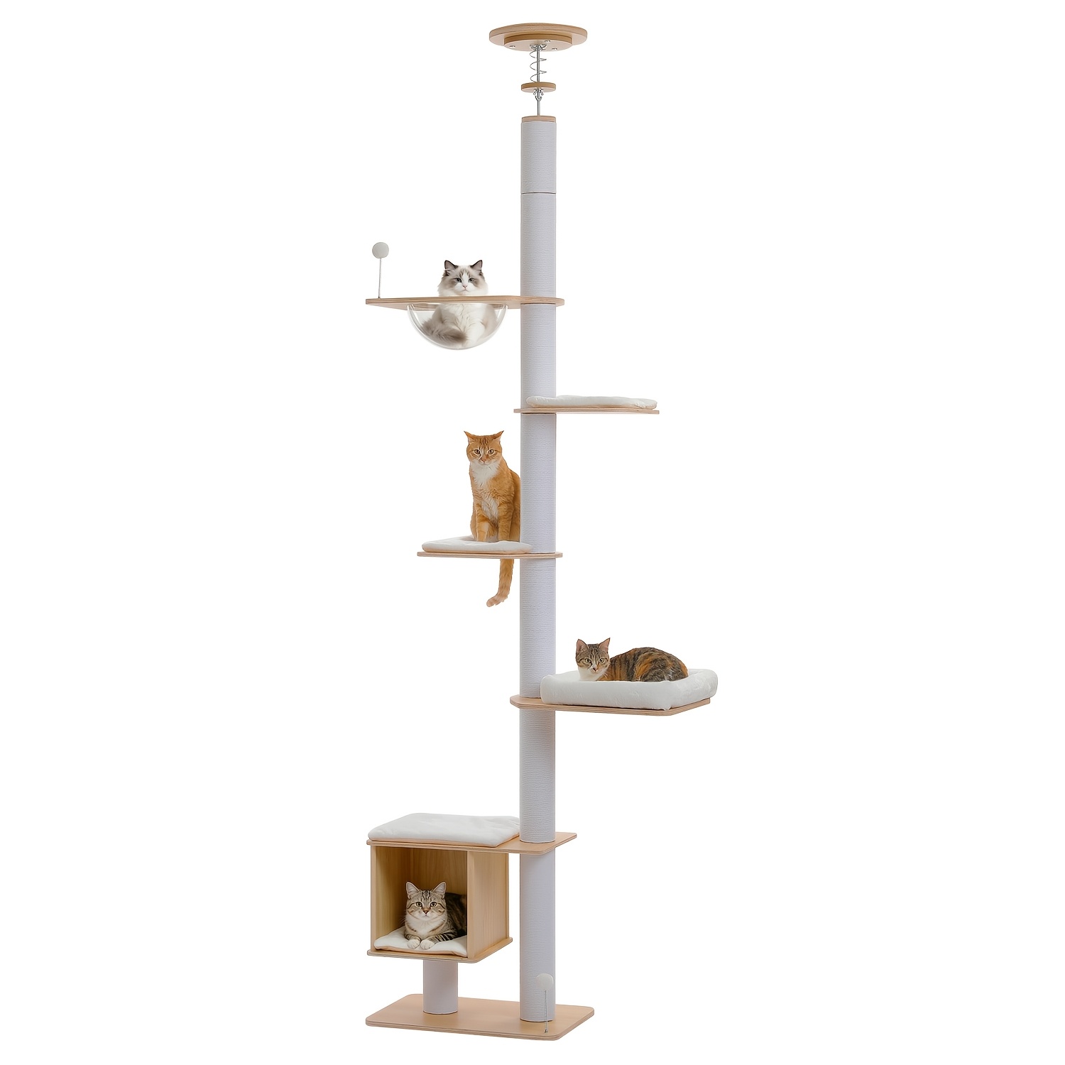 TEMU Arbre à chat Road au plafond, à chat réglable à 5 niveaux de 232 à 284 cm pour chats d'intérieur, centre d'activités d'escalade à plusieurs