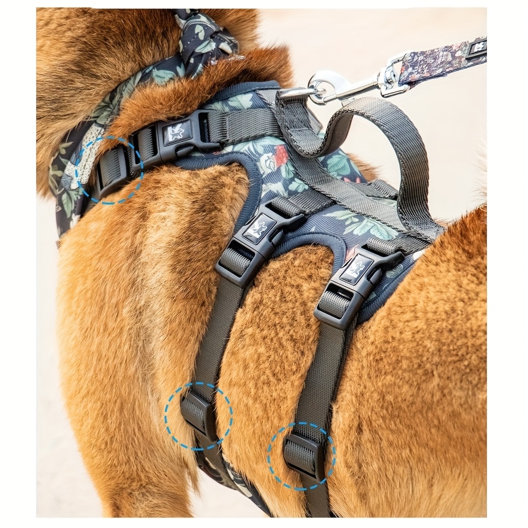 Verstellbares Hundegeschirr, Leine, Halsband  Atmungsaktives, weiches  *-Set mit Leine fr kleine bis groe * verstellbarer Brustgurt,  Outdoor-Sicherheitsausrstung | Sportliches Design | Bequemer ...
