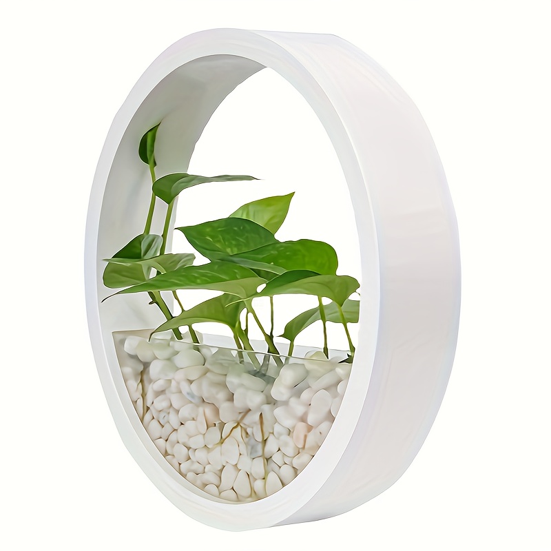 TEMU Wall-mounted Planter For Succulents & Spider Plants - Lightweight, Round Hydroponic For /outdoor Use