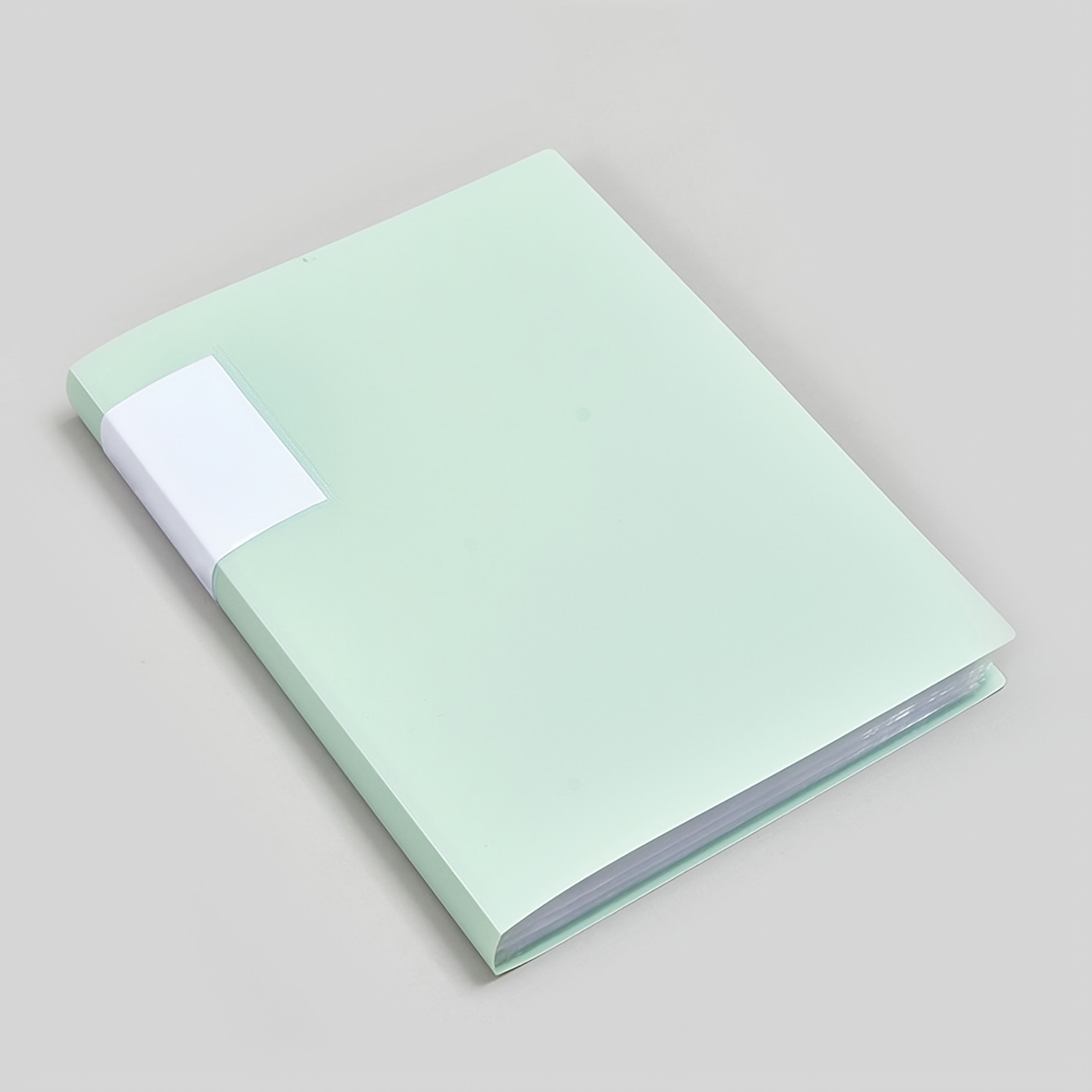 TEMU A4 Binder Folder Morandi Color Insert Folder Transparent Clear Special Storage Book Archive Paper Collection Book