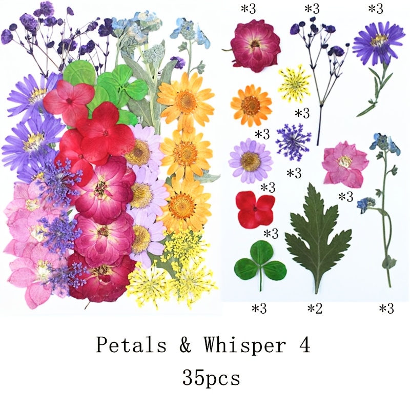 TEMU Coque de téléphone à fleurs pressées faites à , convient aux téléphones portables/cellulaires, peut également utilisée cadres photo et
