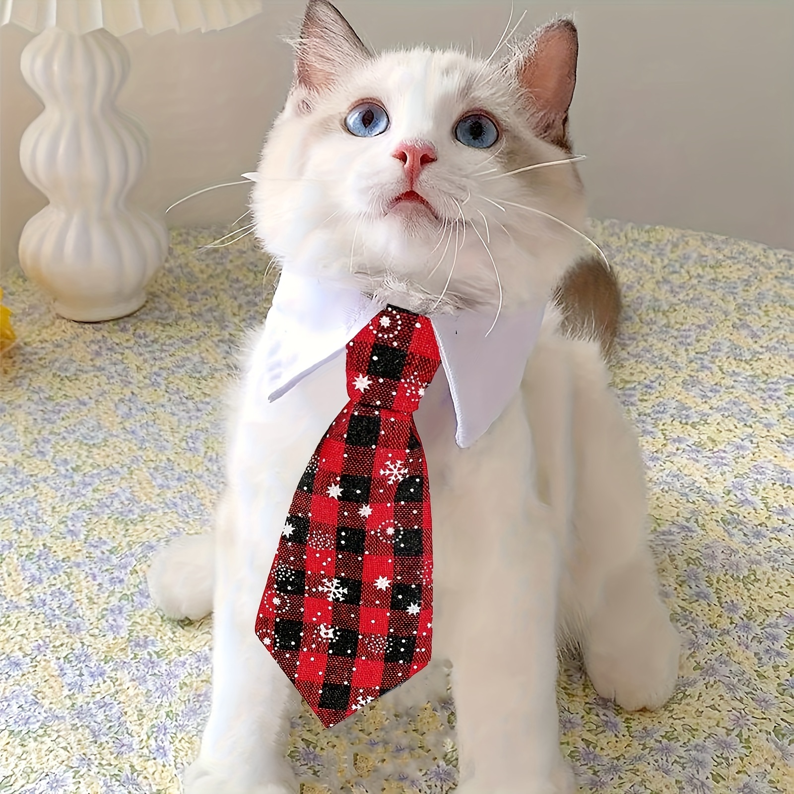 Cat with necktie best sale