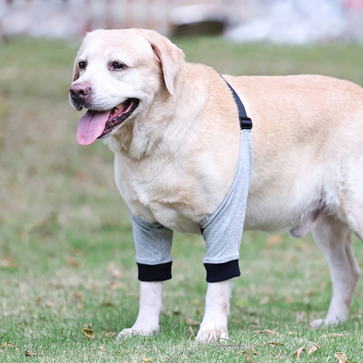 Dog Leg Support Brace Adjustable Rear Leg Brace Dog Thigh - Temu