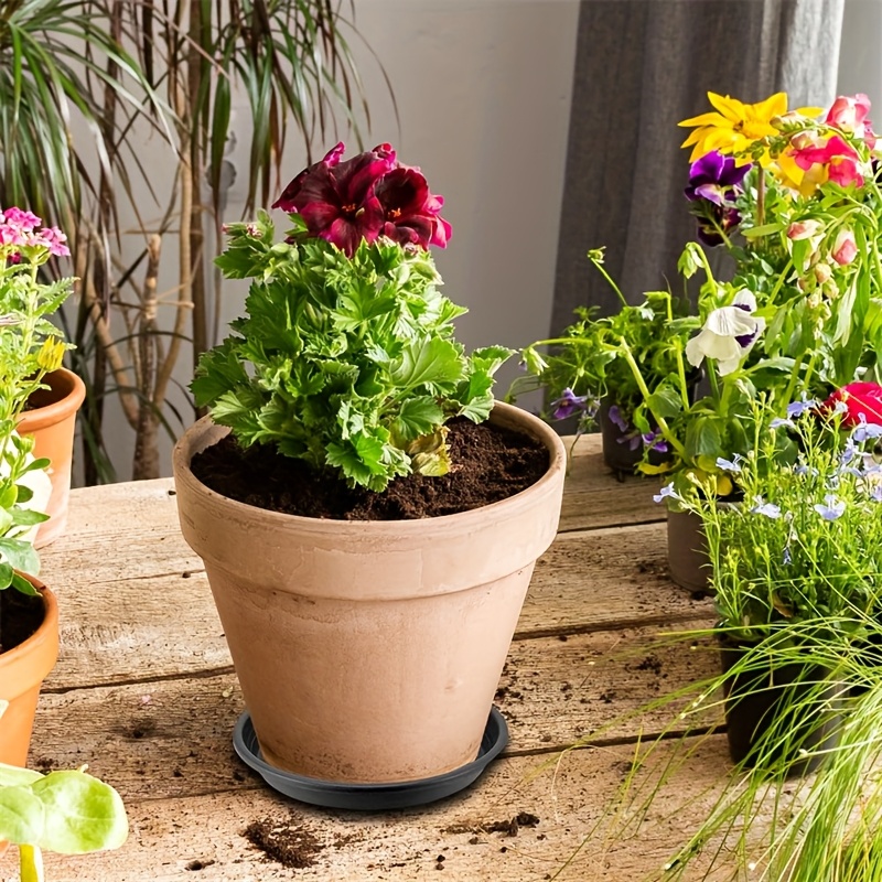 cute indoor plant pots So Cute Ceramic Planter