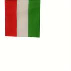 12pcs handheld small flags of hungary