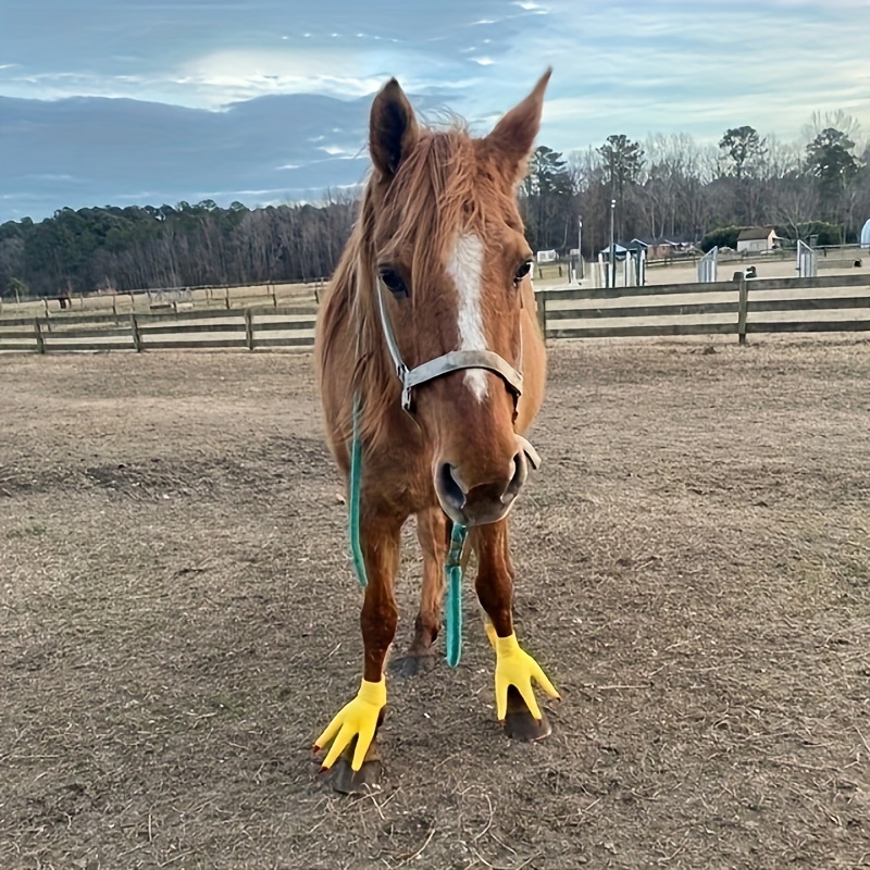 

Horse Protection Breathable Pet Socks, Chicken Feet Tiger Dinosaur Foot Cover Provides Ultimate Comfort And Durability For The Active Horse!