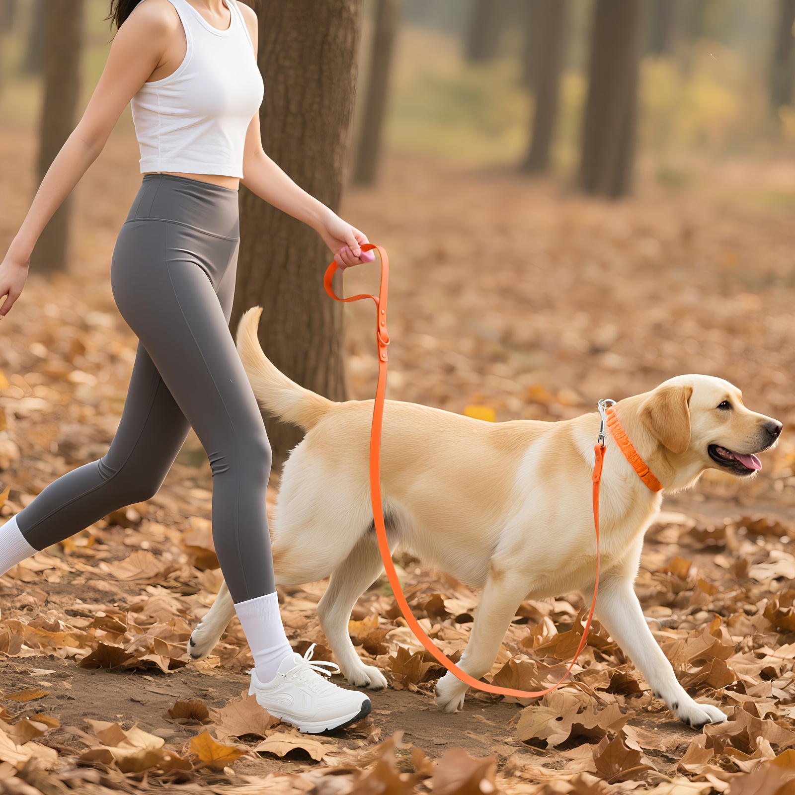 Odor-Resistant PVC Traction Rope for Dog Training