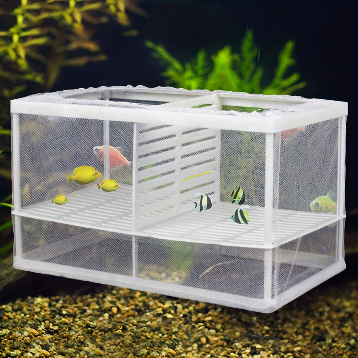 1pc fish tank with lid, high-definition transparent aquarium, fish