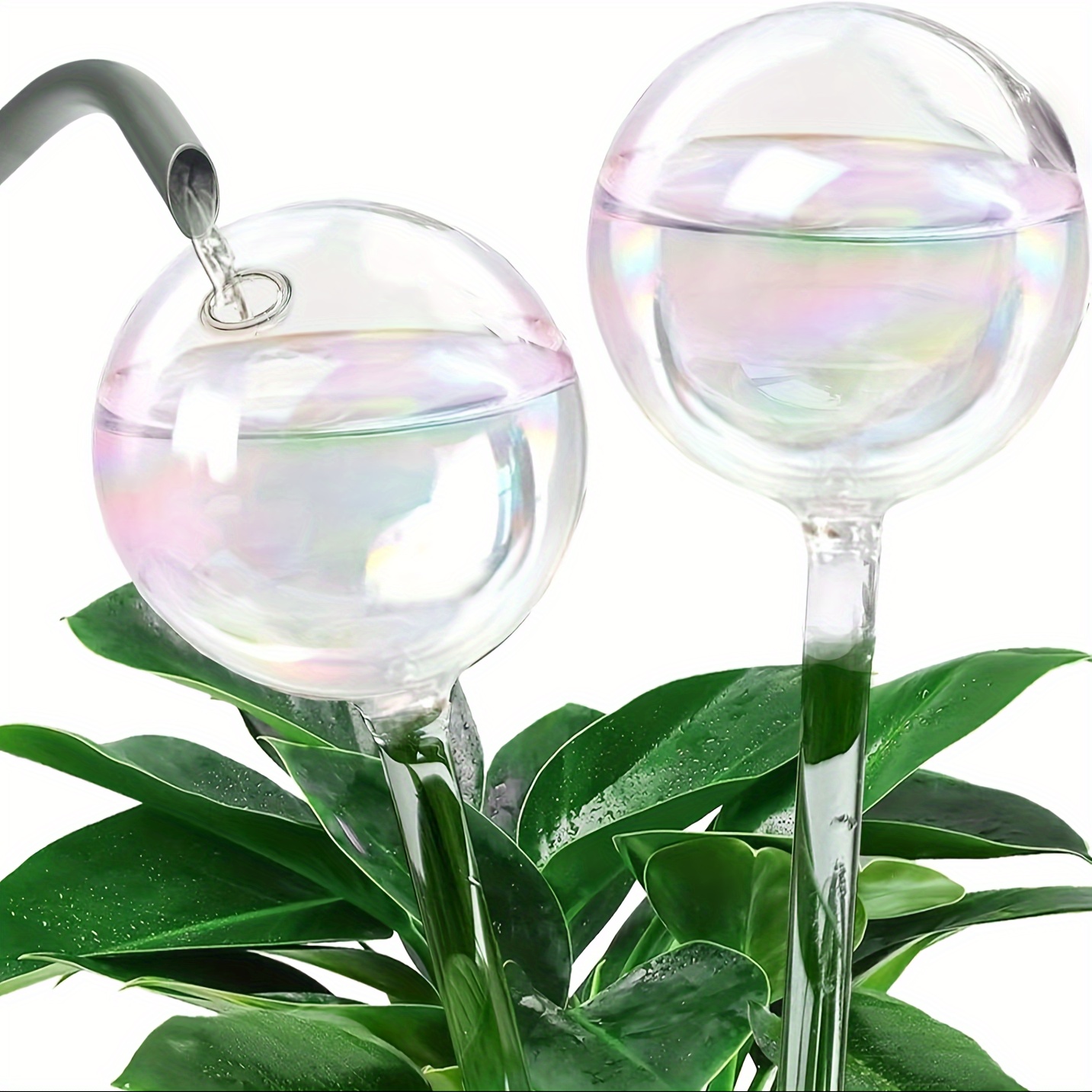 

8pcs Watering Globes Clear Watering Globes For & Use, , & Gardening 4