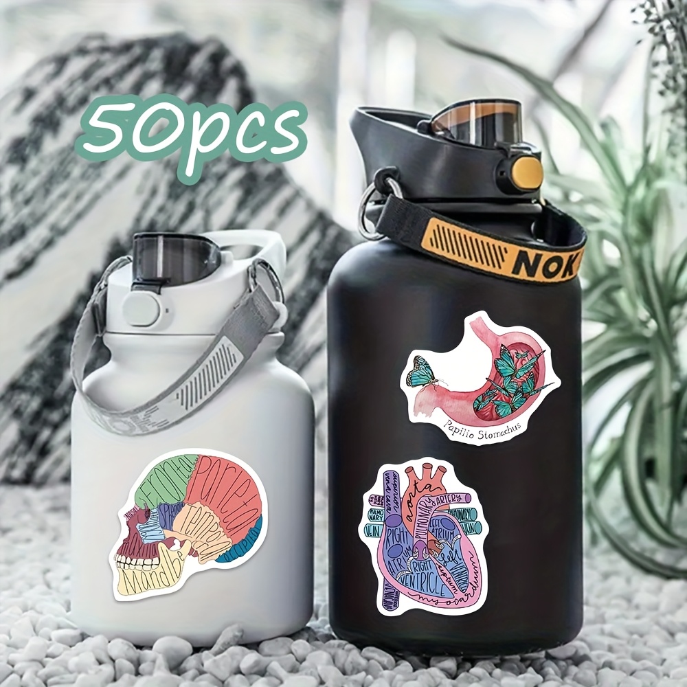 50 Anatomical Stickers Made Of Pvc Featuring Medical Illustrations, Suitable For Decorating Laptops, Cars, Phones, Luggage, And Skateboards With A Matte End And Irregular Shapes For Use