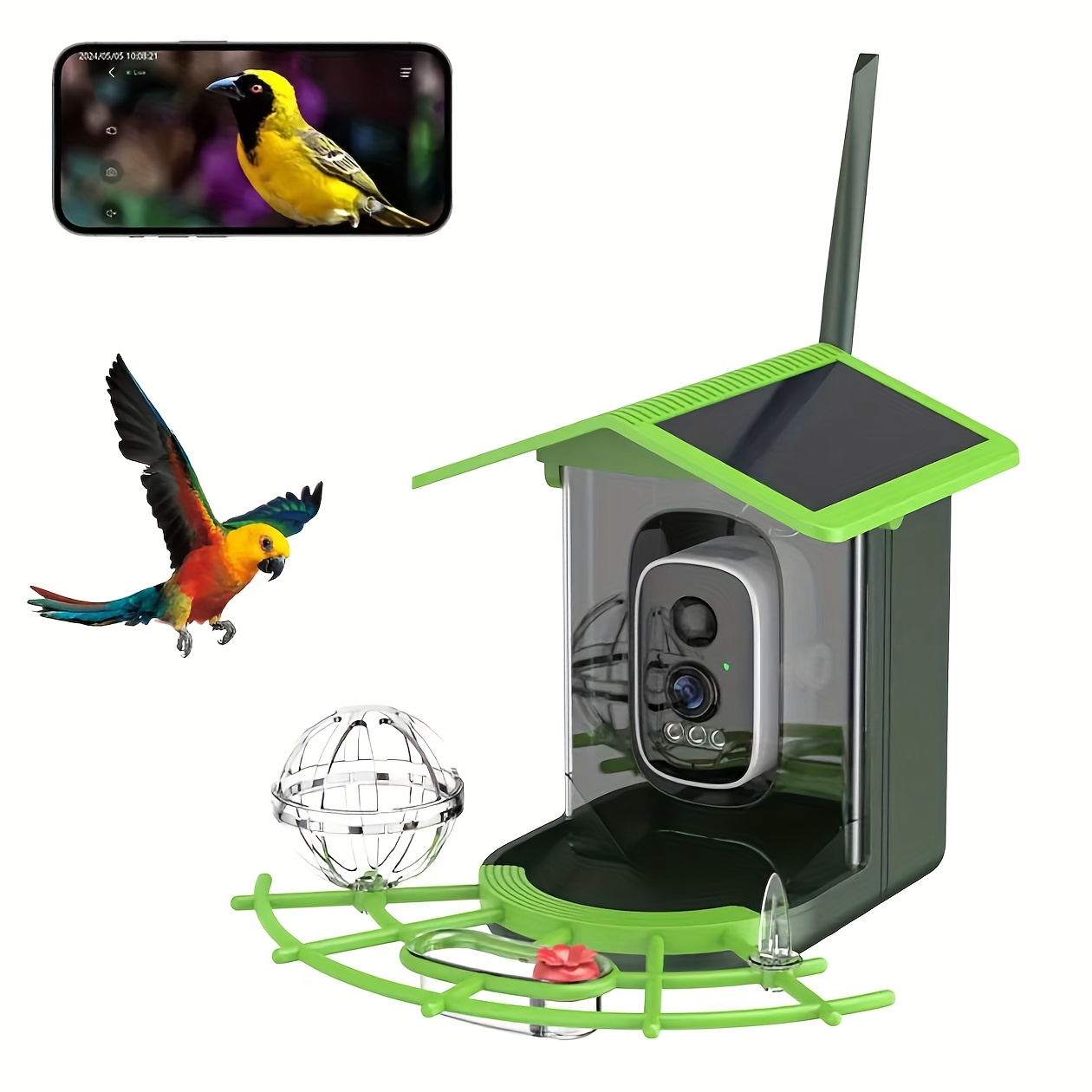 bird feeder 1296p camera Temu Italy