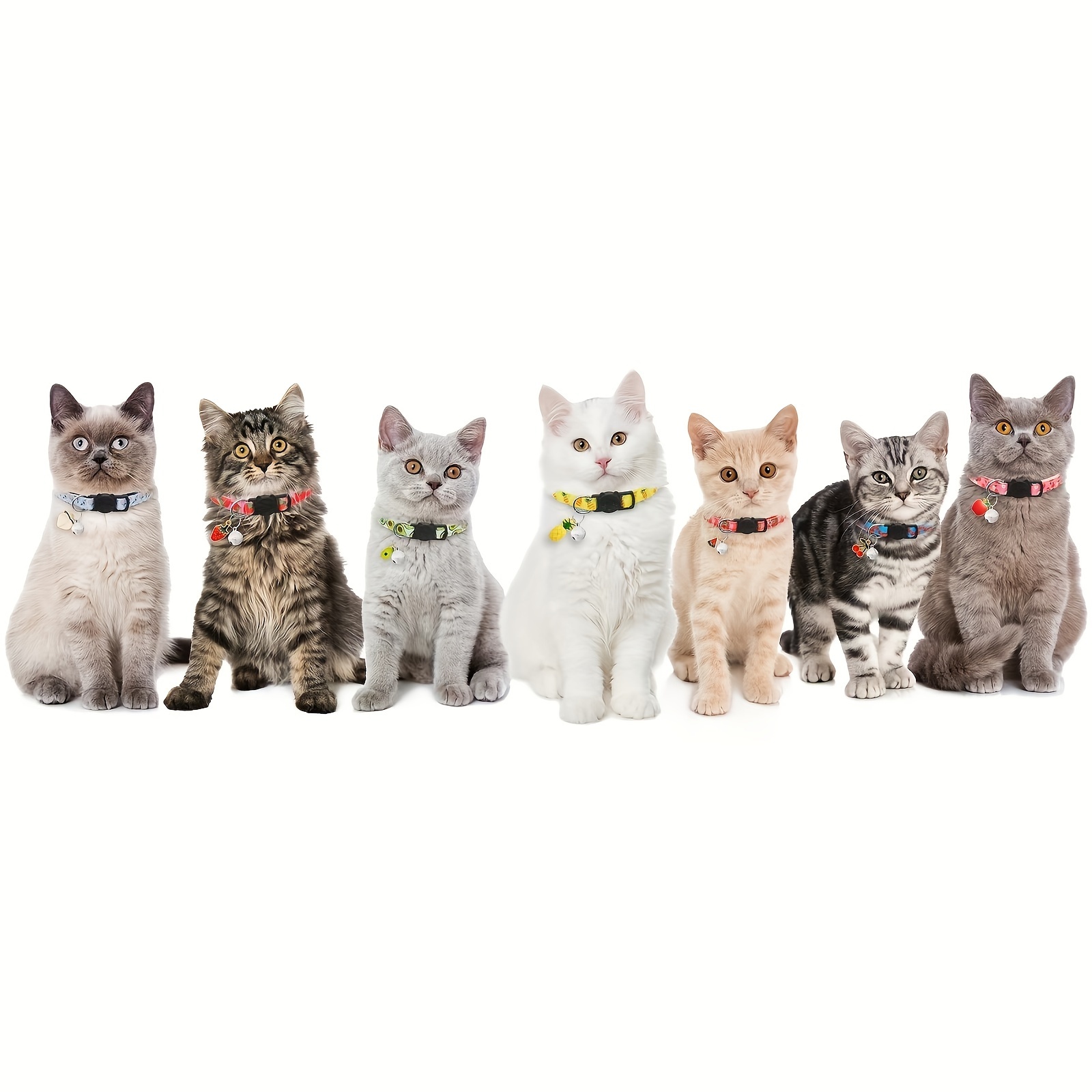Katzenhalsband Mit Früchte-Muster & Glöckchen – 3 Stück Set, Verstellbar 20,3–30,5 Cm – Für Katzen & Kleine Hunde