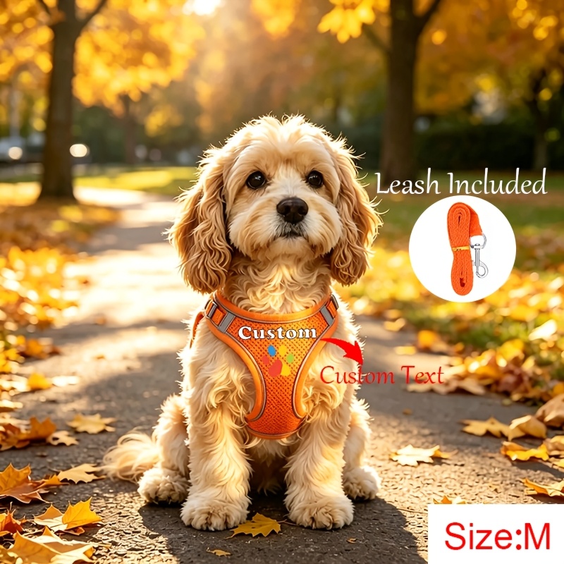 TEMU Personalized Custom Dog Harness & Leash System With Name/text - Paw Print, Reflective Suitable For Daily , Training, Night Visibility,