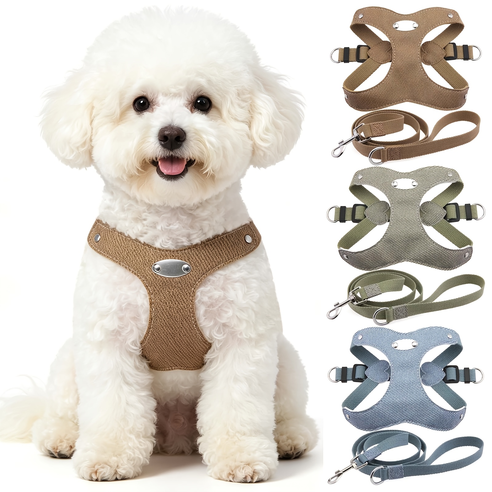 Custom Engraved Dog Harness and Leash Set with Personalized Name Plate