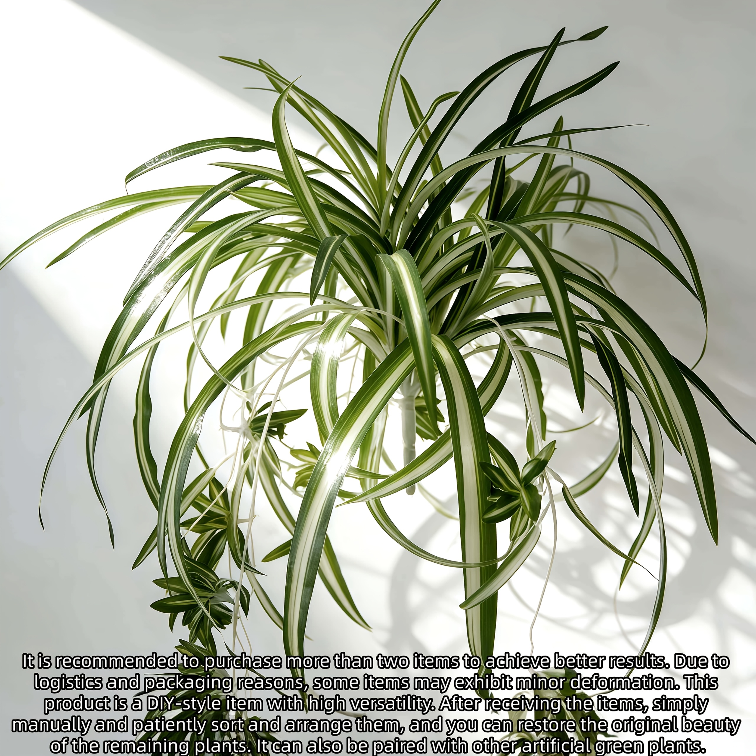 bio-saatgut wo kaufen Bio-Saatgut Küchen-Trio – 3er Kräuter-Set