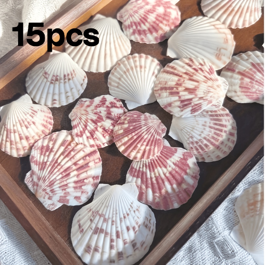 TEMU 15 Colored Sea Fan Shells, Natural Striped Fan Shells, Suitable For Handicraft Production, Ocean-themed Aquarium And Fish Tank Decoration, Micro