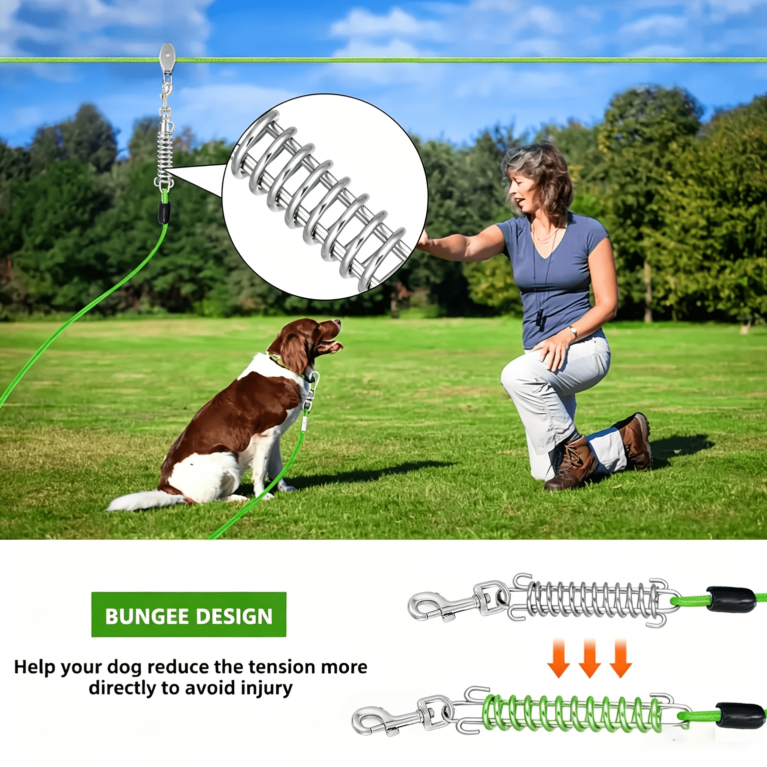 High-Quality Dog Leash with Shock-Absorbing Spring