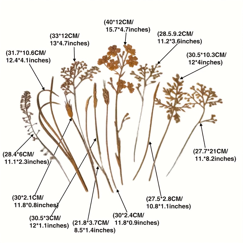 E-shop 12 Stück Metall-Wildblumen-Pflanzstäbe Dekorative Stäbe, Outdoor kreative Eisenkunst Steckdekoration, Rustikaler Stil, Ideal für
