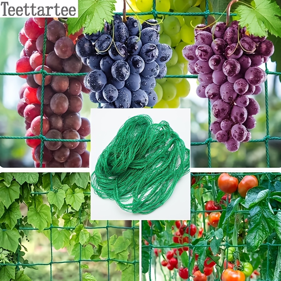 plant climbing net green garden cucumber hanging - Temu