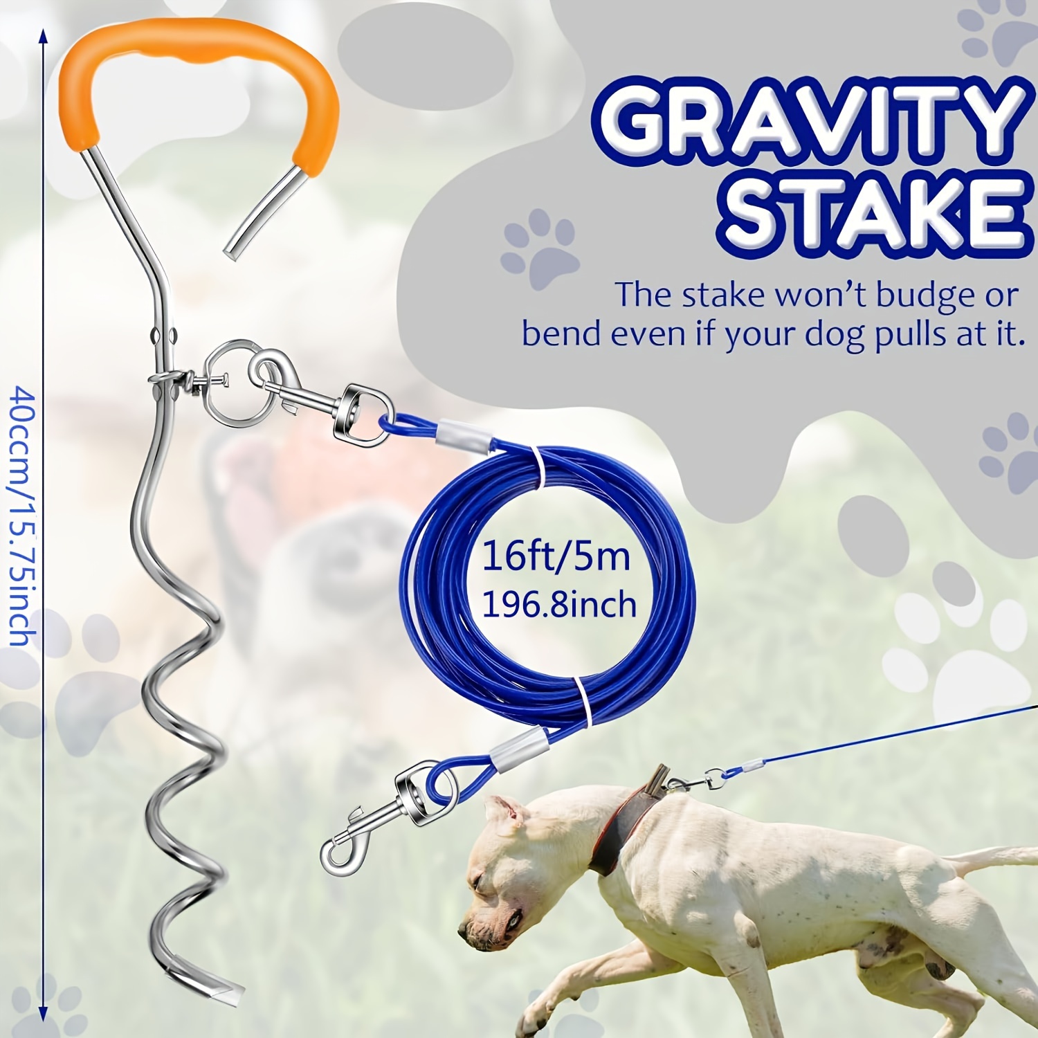 Tether leash for fashion dogs