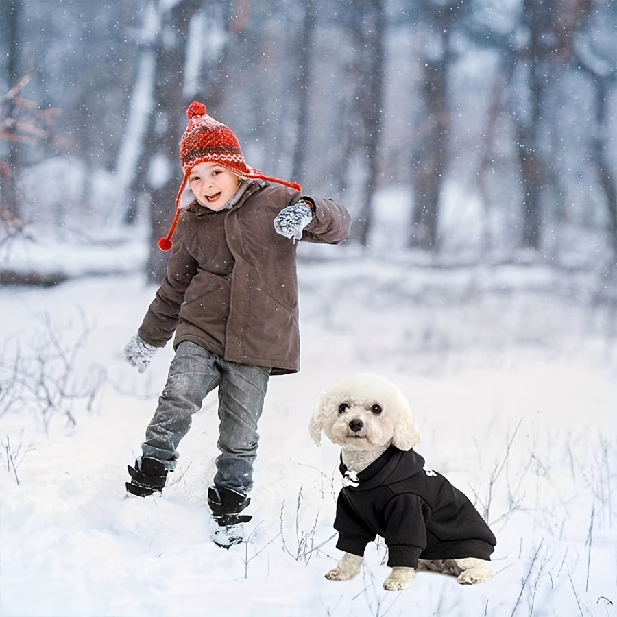 Trendy Dog Outfit