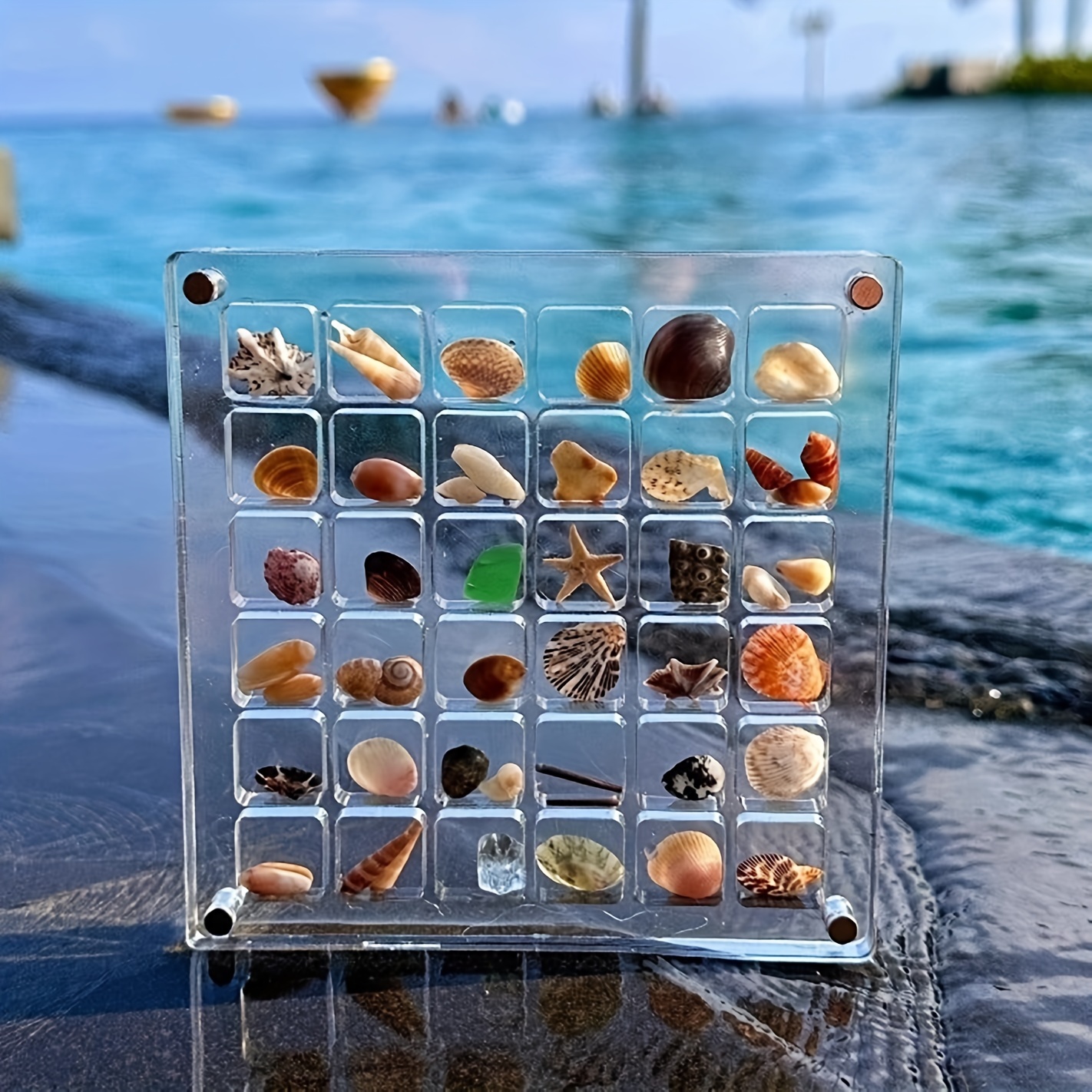 

Acrylic Magnetic Seashell Display Case, 1pc 36 Grids, Transparent Storage Organizer For Shells