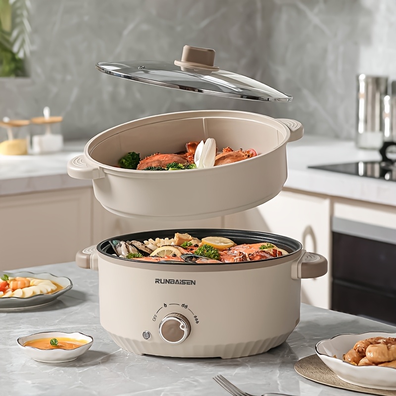 electric multi cooker sold on Temu United States