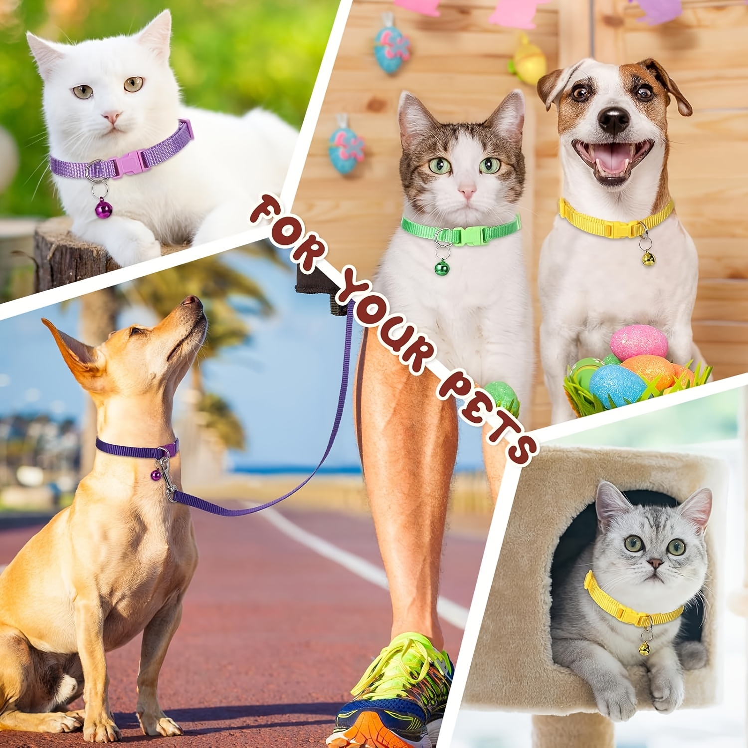 12-Set Adjustable Dog Collar and Leash Set for Training
